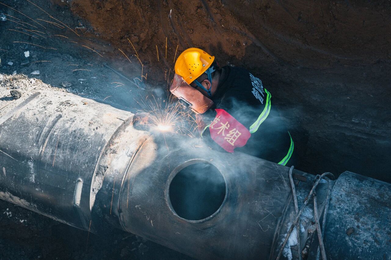 1764051215579.jpg 5.jpg